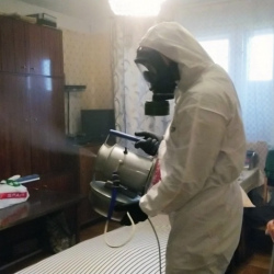 Дезинфекция от клопов в Голицыно