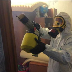 Уничтожение клопов в квартире. Голицыно